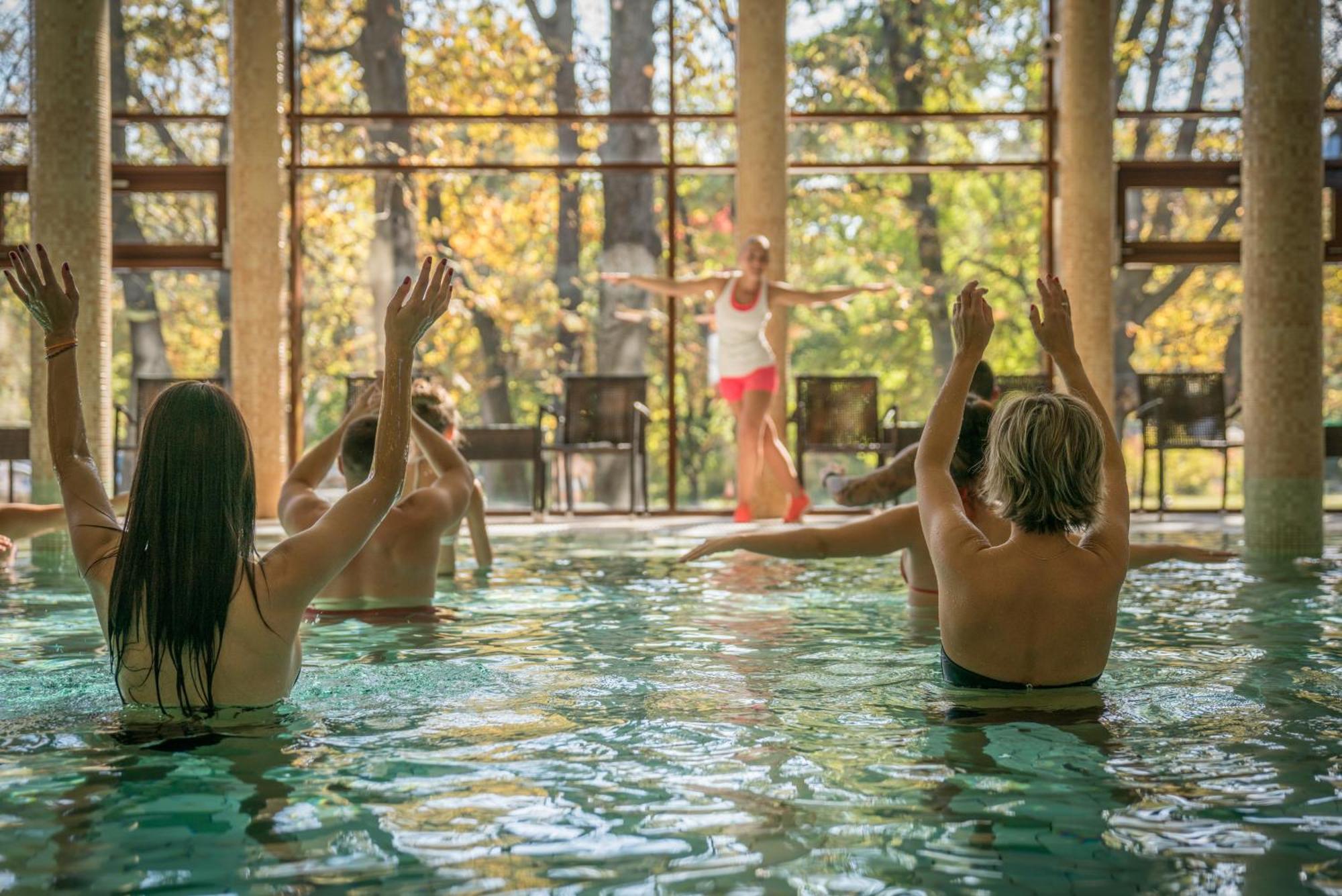 Wellness Hotel غيولا المظهر الخارجي الصورة